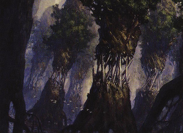 Evolving Wilds