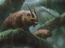 Gnarlid Pack