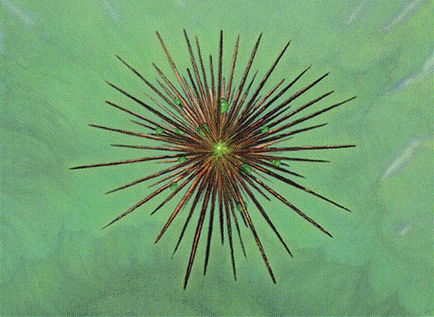 Wayfarer’s Bauble