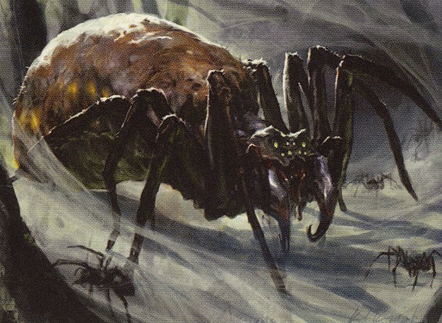 Arachnus Spinner