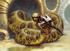 Coiling Oracle