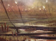 Marsh Flats