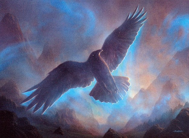 Mist Raven