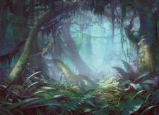 Misty Rainforest