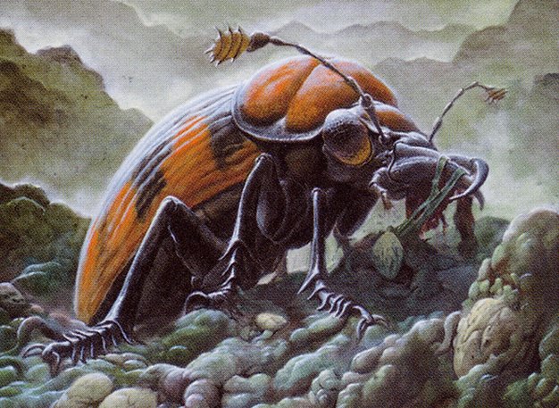 Mortician Beetle
