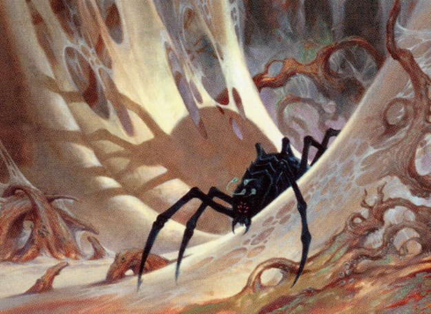 Penumbra Spider