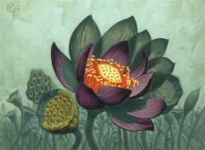 Lotus Bloom