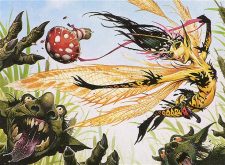 Marsh Flitter