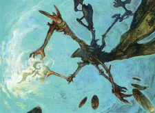 Peer Through Depths