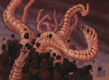 Worm Harvest