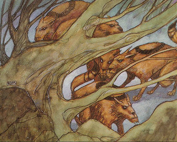 Briar Patch