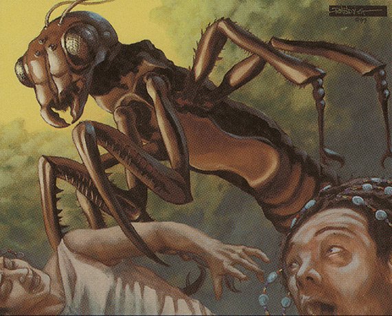 Deadly Insect