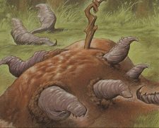 Food Chain