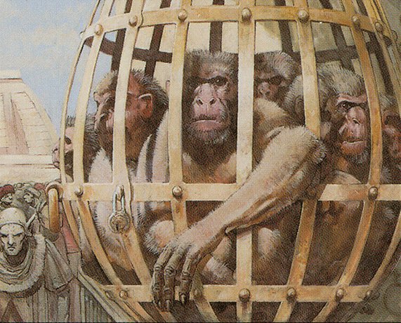 Monkey Cage