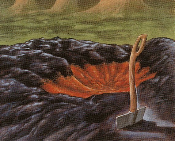Peat Bog