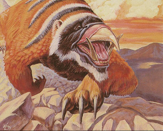Rock Badger