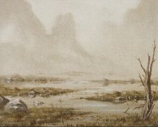 Swamp