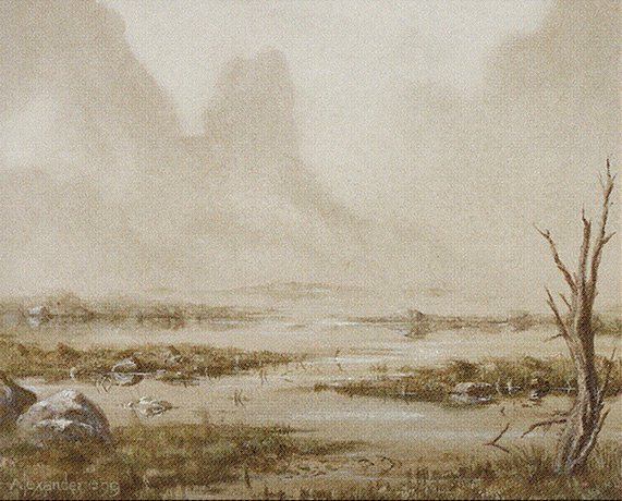 Swamp