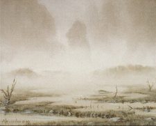 Swamp