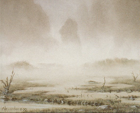 Swamp