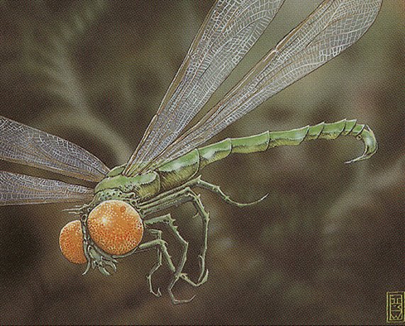 Venomous Dragonfly