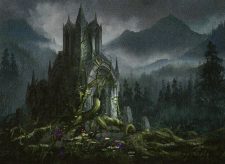 Evolving Wilds