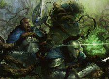 Hindervines