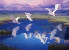 Migratory Route