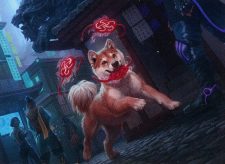 Spirited Companion