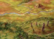 Sungrass Prairie