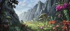 Truga Jungle