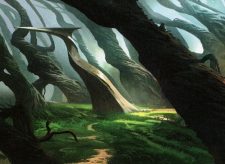 Weirding Wood