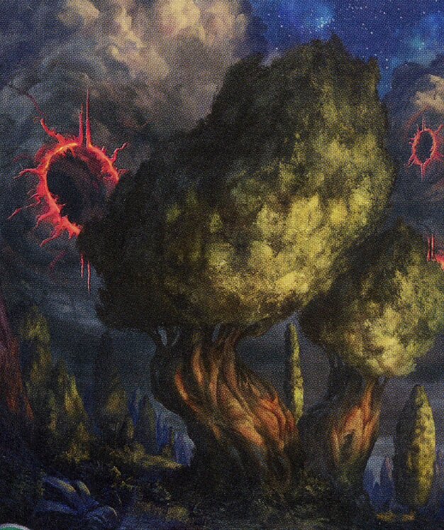 Forest
