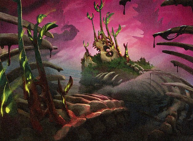 Jungle Hollow