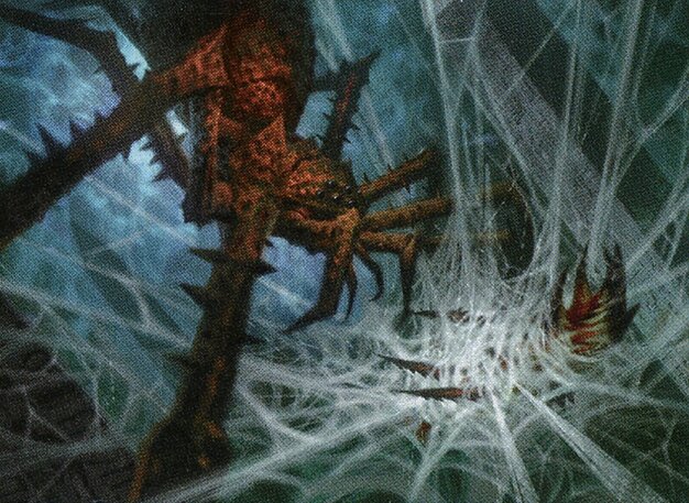 Ruins Recluse