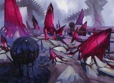 Scoured Barrens