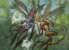 Nightshade Schemers