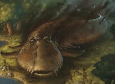Stenchskipper