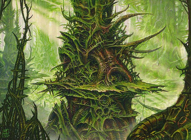 Forest