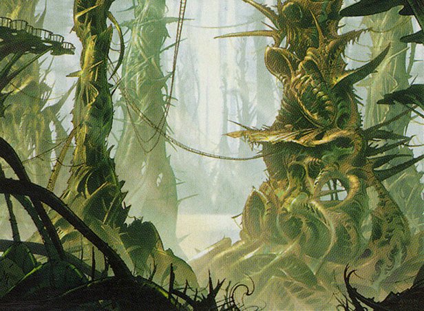 Forest