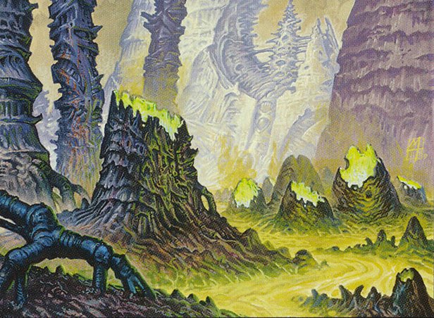 Swamp