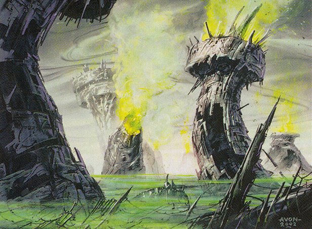 Swamp