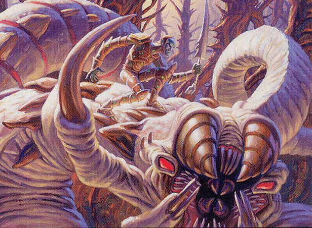Tooth and Nail