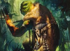 Troll Ascetic