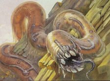 Vermiculos