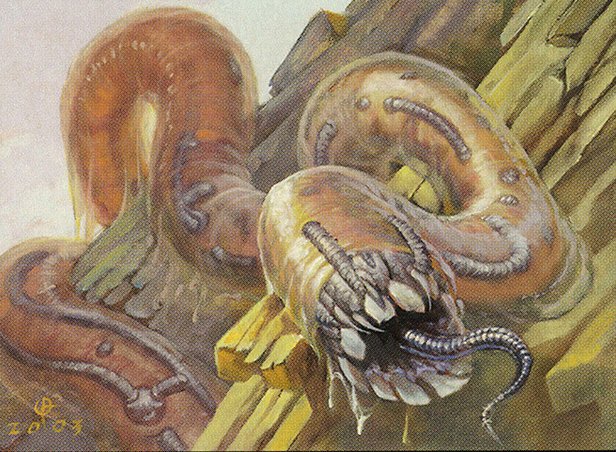 Vermiculos