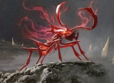 Agitator Ant