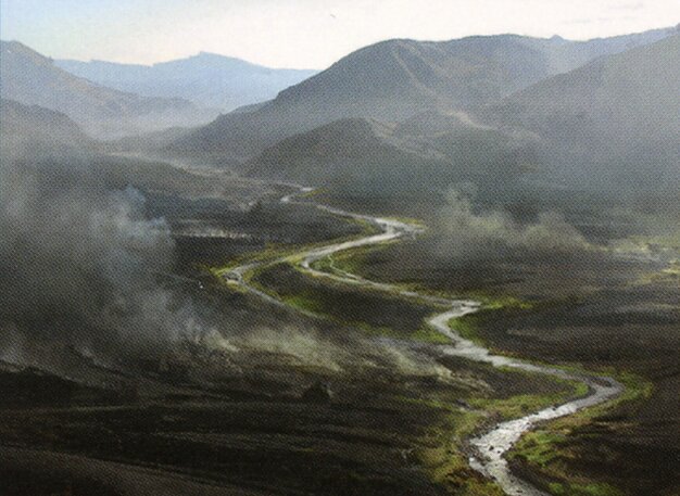 Ash Barrens