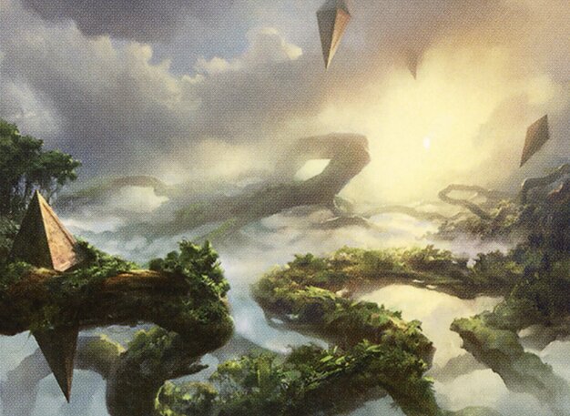 Canopy Vista