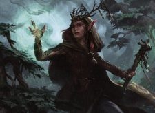 Devoted Druid